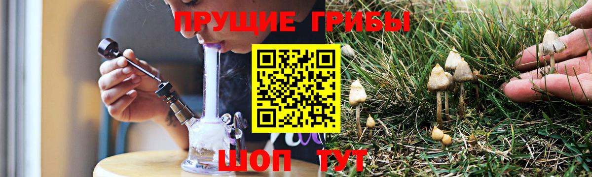 Галлюциногенные грибы ЛСД  Вход с VPN  Псилоцибиновые грибы мухоморы  Кувандык 