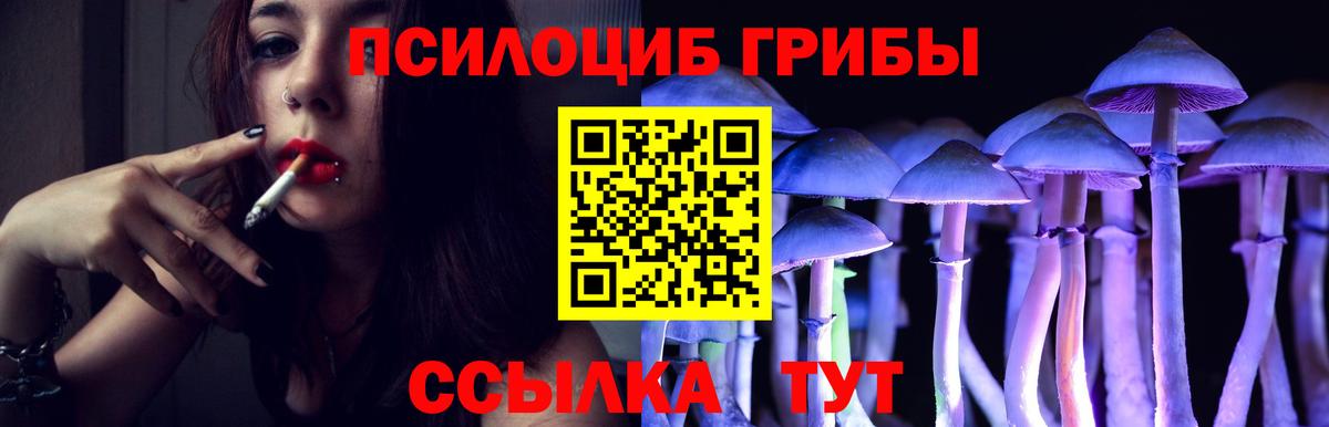 Псилоцибиновые грибы MAGIC MUSHROOMS Кувандык